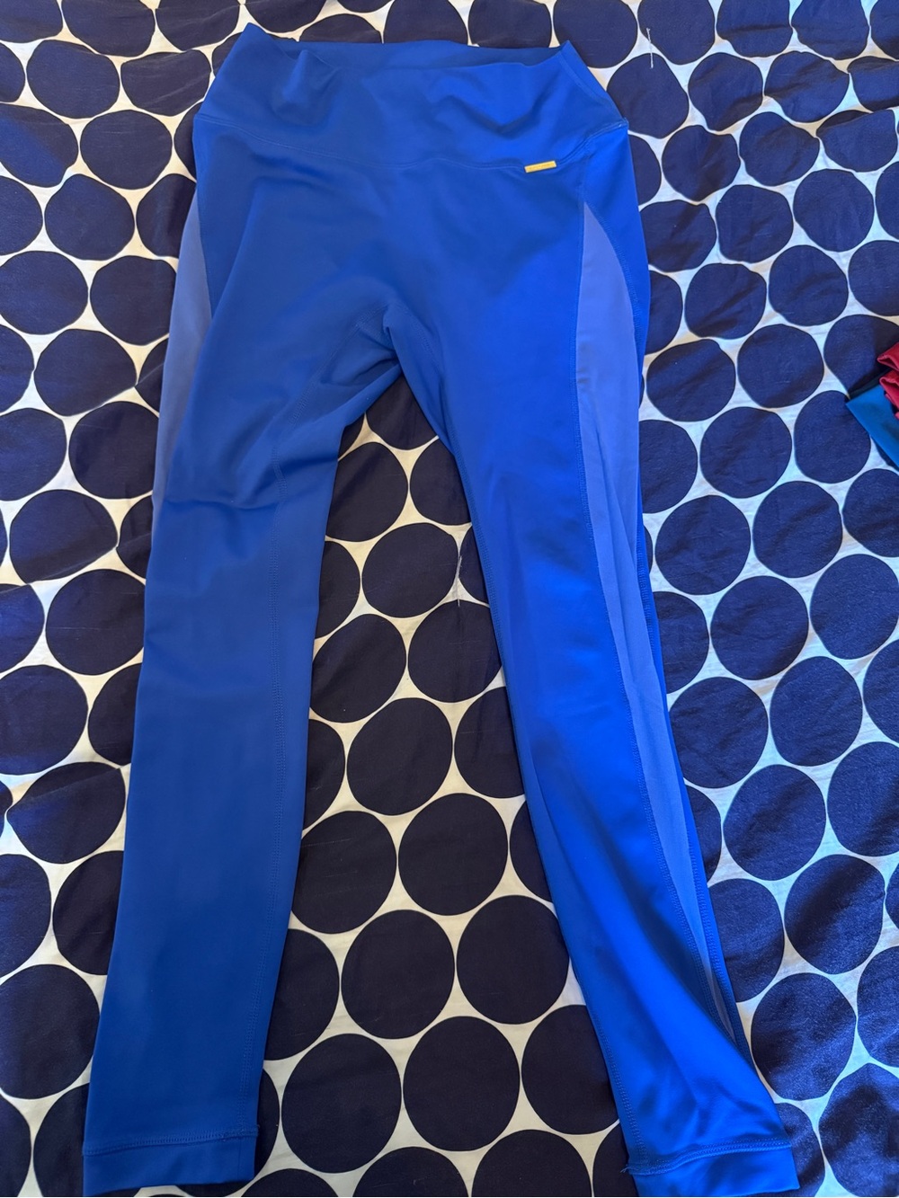 Cleo Harper Blue Leggings with Side Mesh Panel